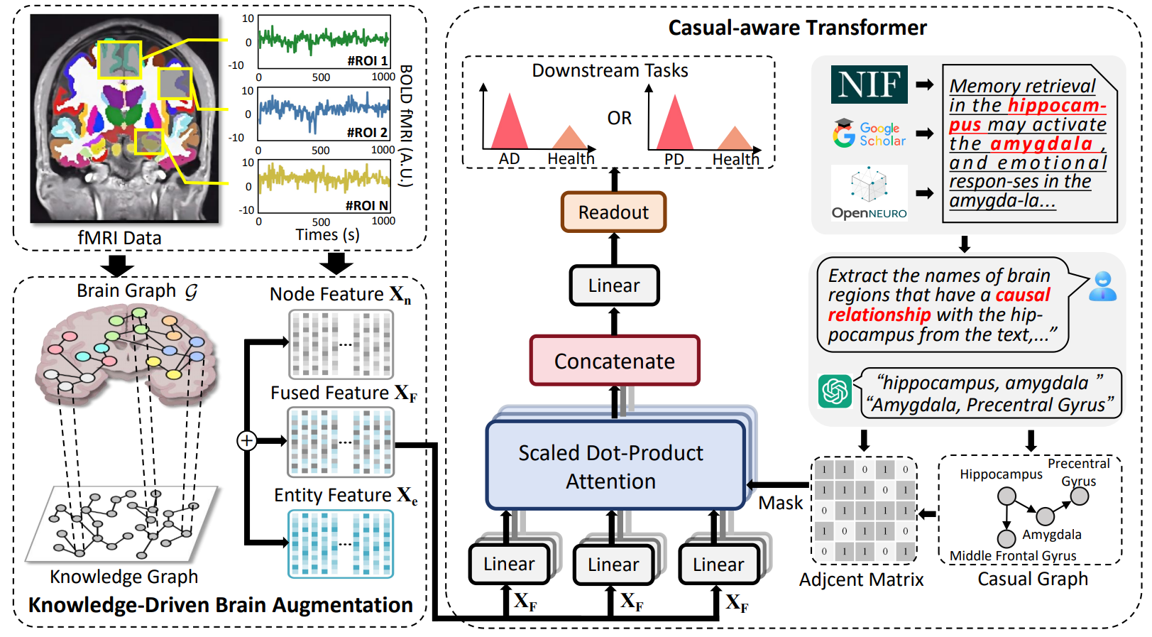 BrainCKT Framework Overview